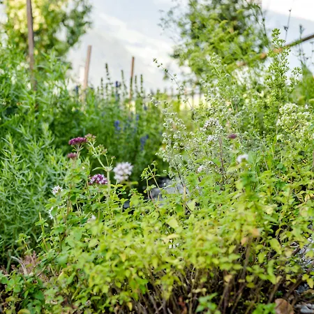 Hotel Gartenhotel Crystal 4*