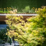 Gartenhotel Crystal Szálloda 4*