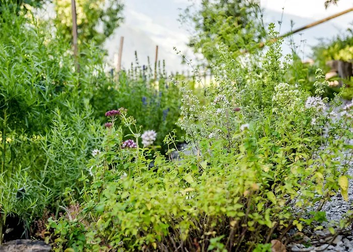 Hotel Gartenhotel Crystal 4*